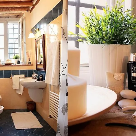 Rustico Dora * Camaiore