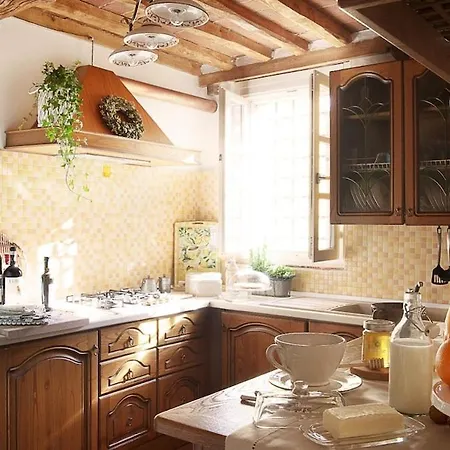 Rustico Dora Camaiore