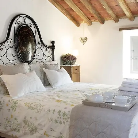 Rustico Dora Tatil Evi Camaiore