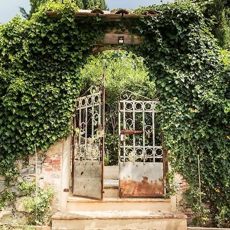 Rustico Dora