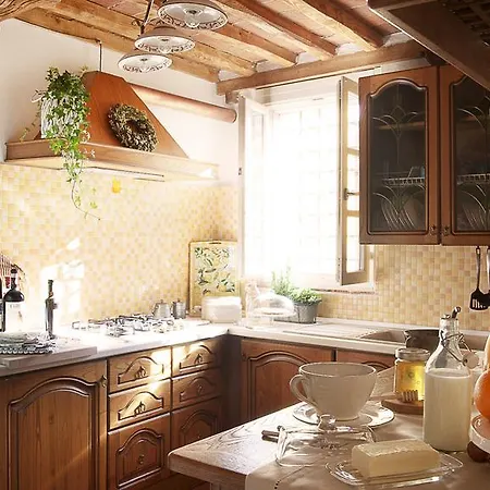 Tatil Evi Rustico Dora Camaiore