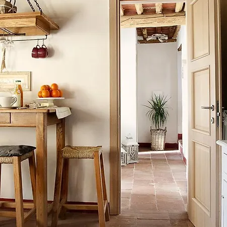 Rustico Dora * Camaiore