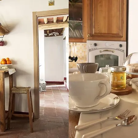 Rustico Dora Tatil Evi Camaiore