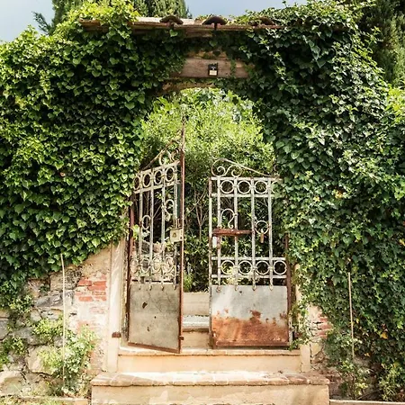 Rustico Dora