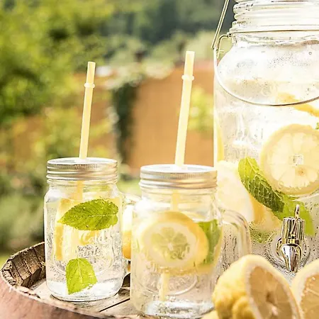 Rustico Dora Tatil Evi Camaiore