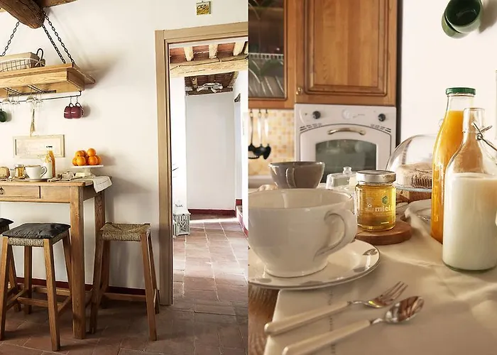 Rustico Dora 펜션 카마이오레